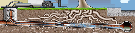 Hydro Jetter Root Cleaning